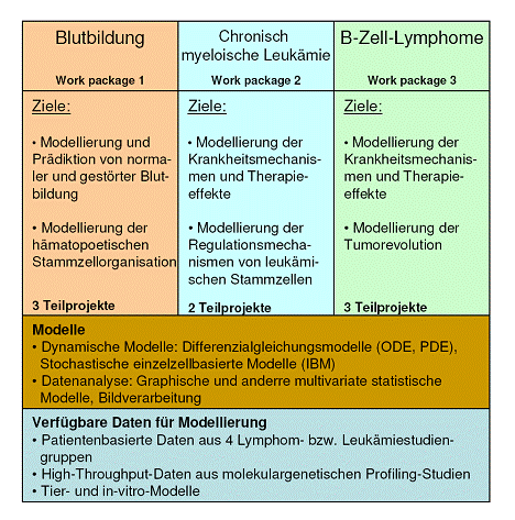 Projektstruktur